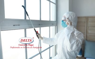 Fumigar Termitas: La Solución Eficaz de Delta Control de Plagas