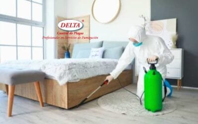 Fumigaciones de Chinches de Cama: La Solución Eficaz de Delta Control de Plagas en CDMX y Estado de México