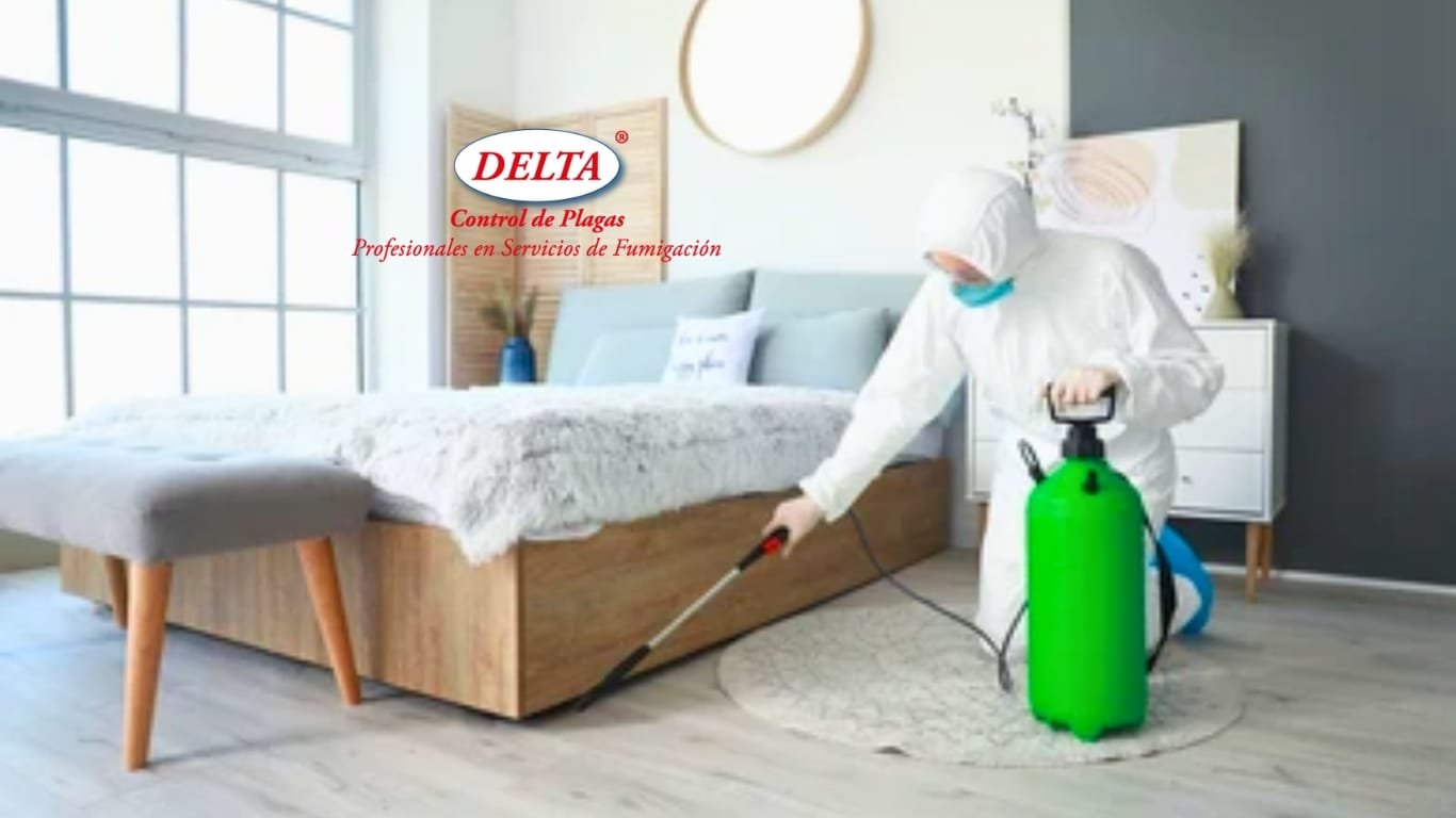 Fumigaciones de Chinches de Cama La Solución Eficaz de Delta Control de Plagas en CDMX y Estado de México